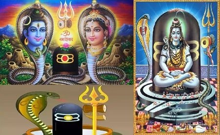 Nag Panchami Kyu Manaya Jata Hai Bataiye